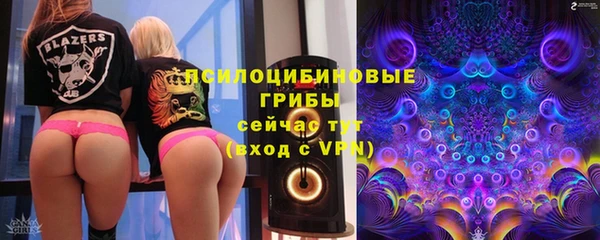 СК Абинск