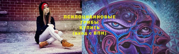 ПСИЛОЦИБИНОВЫЕ ГРИБЫ Абдулино