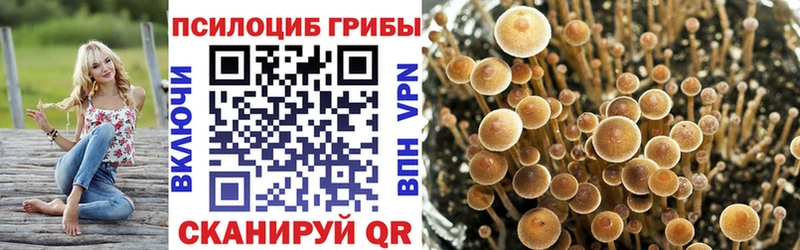 Псилоцибиновые грибы MAGIC MUSHROOMS  Новочеркасск 